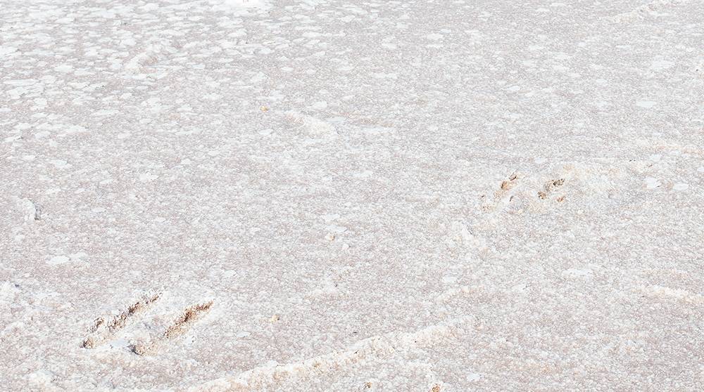 Footprints in the salt
