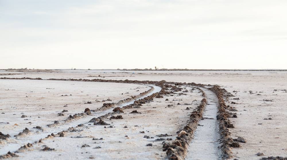 Salt tyre tracks 
