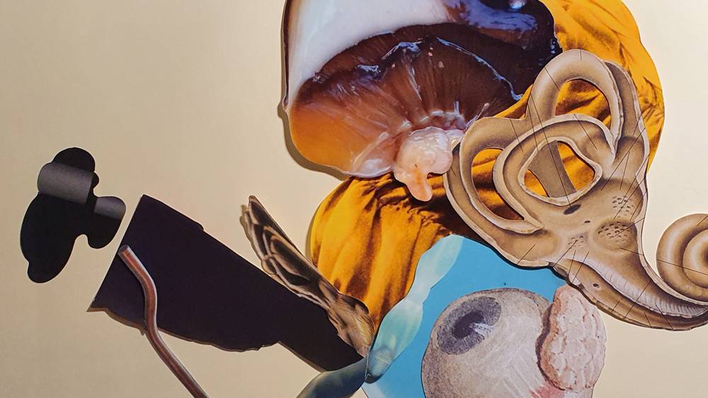 Simone Kennedy, Changeling (b) (detail), 2021